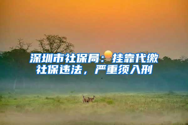 深圳市社保局：挂靠代缴社保违法，严重须入刑