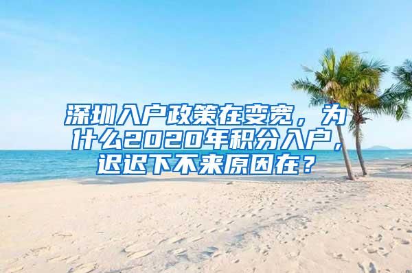 深圳入户政策在变宽，为什么2020年积分入户，迟迟下不来原因在？