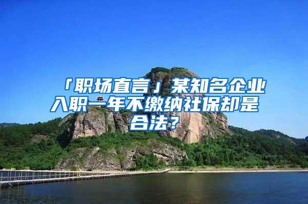 「职场直言」某知名企业入职一年不缴纳社保却是合法？