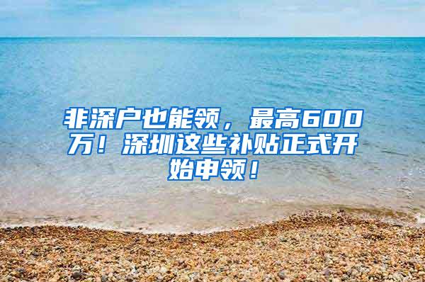 非深户也能领，最高600万！深圳这些补贴正式开始申领！