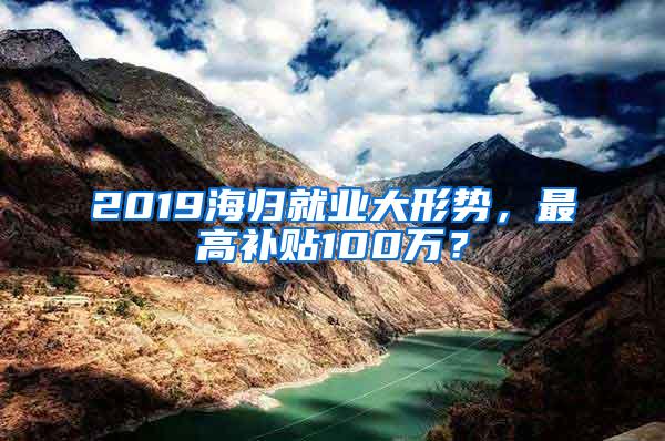 2019海归就业大形势，最高补贴100万？