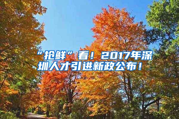 “抢鲜”看！2017年深圳人才引进新政公布！