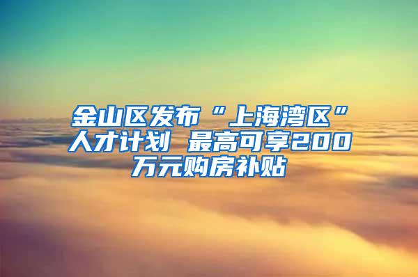 金山区发布“上海湾区”人才计划 最高可享200万元购房补贴