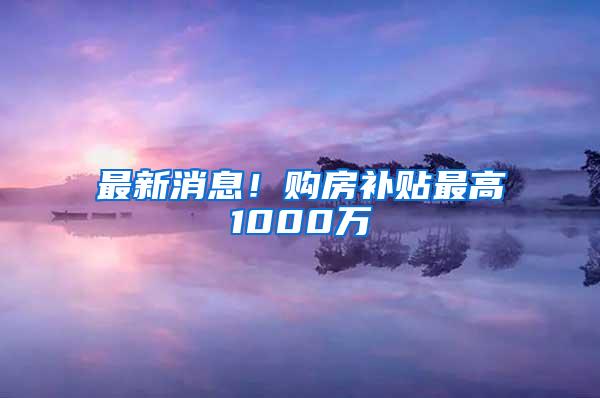 最新消息！购房补贴最高1000万