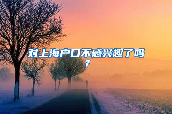 对上海户口不感兴趣了吗？