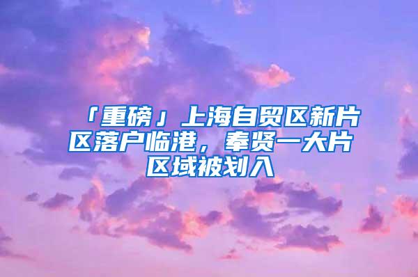 「重磅」上海自贸区新片区落户临港，奉贤一大片区域被划入