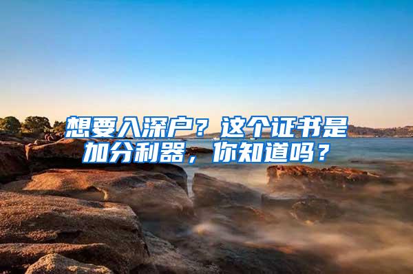 想要入深户？这个证书是加分利器，你知道吗？