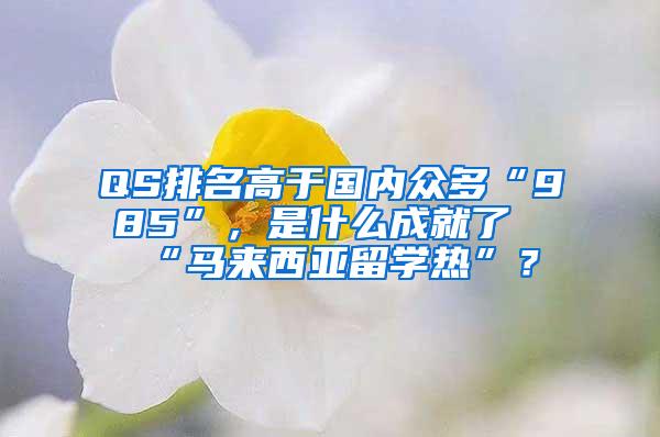 QS排名高于国内众多“985”，是什么成就了“马来西亚留学热”？