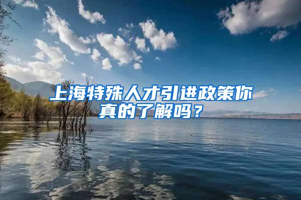 上海特殊人才引进政策你真的了解吗？