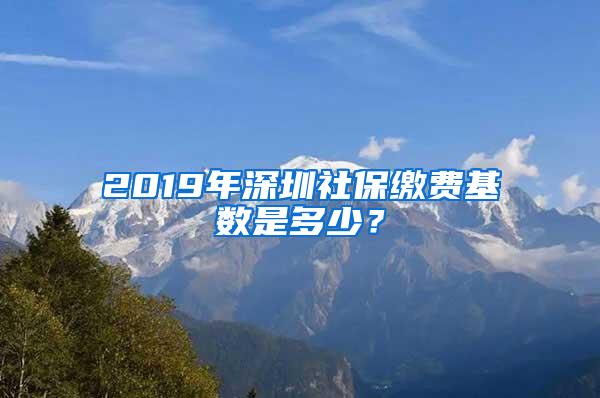 2019年深圳社保缴费基数是多少？