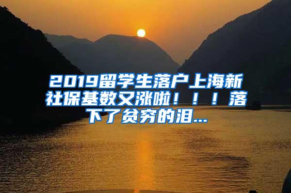 2019留学生落户上海新社保基数又涨啦！！！落下了贫穷的泪...