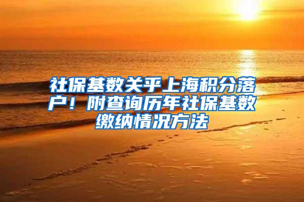 社保基数关乎上海积分落户！附查询历年社保基数缴纳情况方法