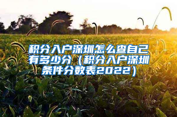 积分入户深圳怎么查自己有多少分（积分入户深圳条件分数表2022）