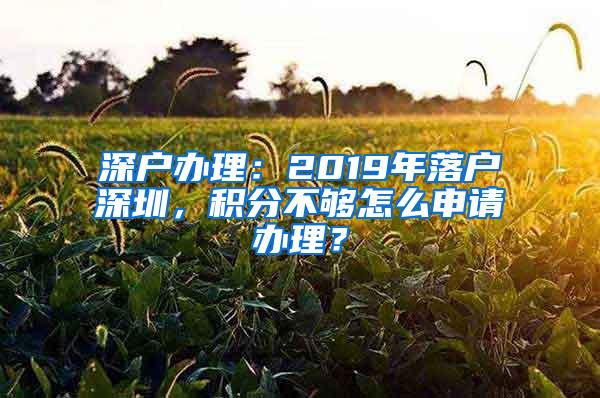 深户办理：2019年落户深圳，积分不够怎么申请办理？