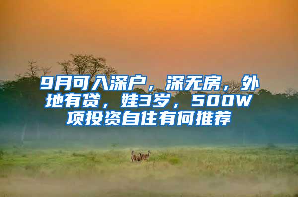 9月可入深户，深无房，外地有贷，娃3岁，500W项投资自住有何推荐