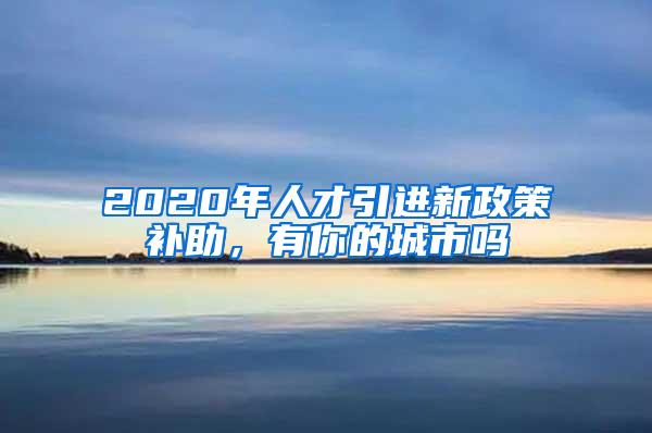 2020年人才引进新政策补助，有你的城市吗