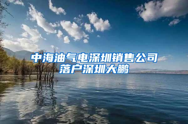 中海油气电深圳销售公司落户深圳大鹏