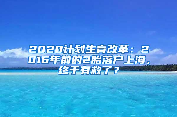 2020计划生育改革：2016年前的2胎落户上海，终于有救了？