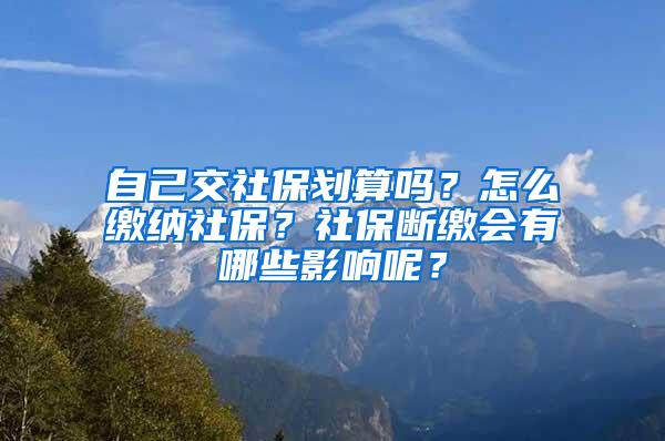 自己交社保划算吗？怎么缴纳社保？社保断缴会有哪些影响呢？