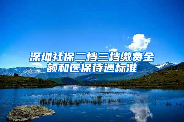 深圳社保二档三档缴费金额和医保待遇标准