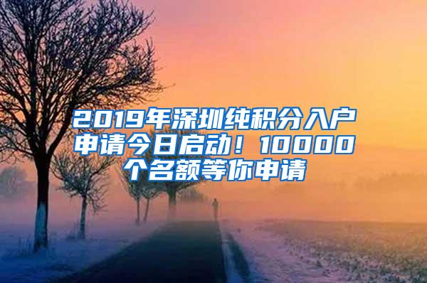 2019年深圳纯积分入户申请今日启动！10000个名额等你申请