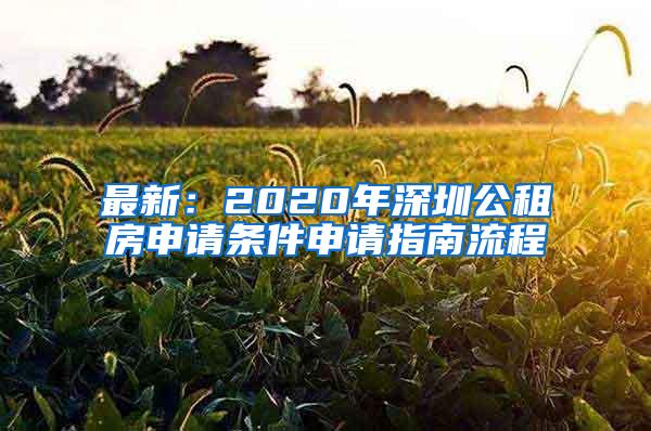 最新：2020年深圳公租房申请条件申请指南流程