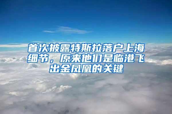 首次披露特斯拉落户上海细节，原来他们是临港飞出金凤凰的关键