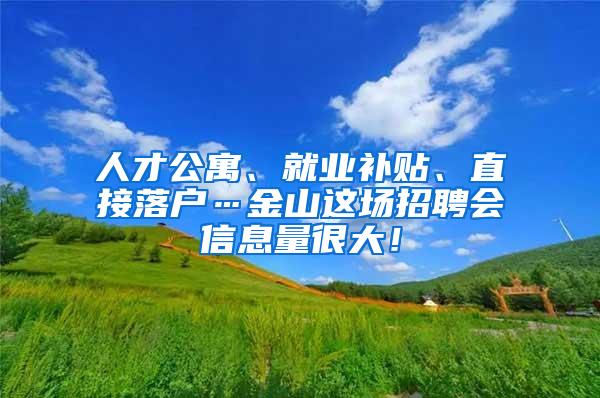 人才公寓、就业补贴、直接落户…金山这场招聘会信息量很大！