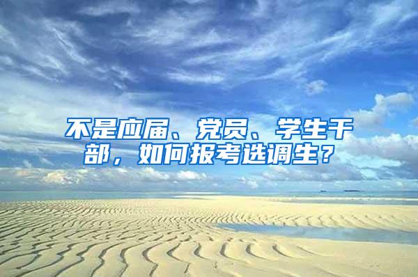 不是应届、党员、学生干部，如何报考选调生？