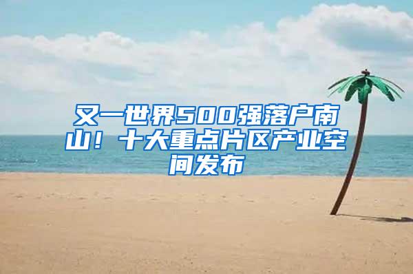 又一世界500强落户南山！十大重点片区产业空间发布