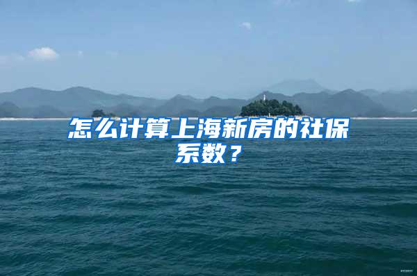 怎么计算上海新房的社保系数？