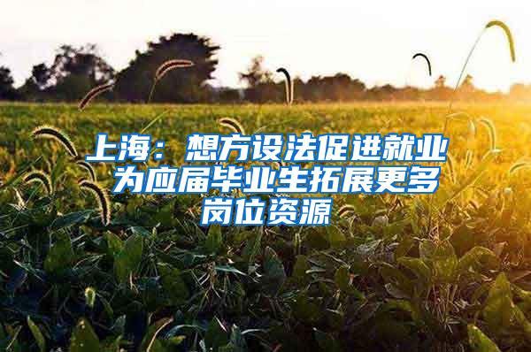 上海：想方设法促进就业 为应届毕业生拓展更多岗位资源