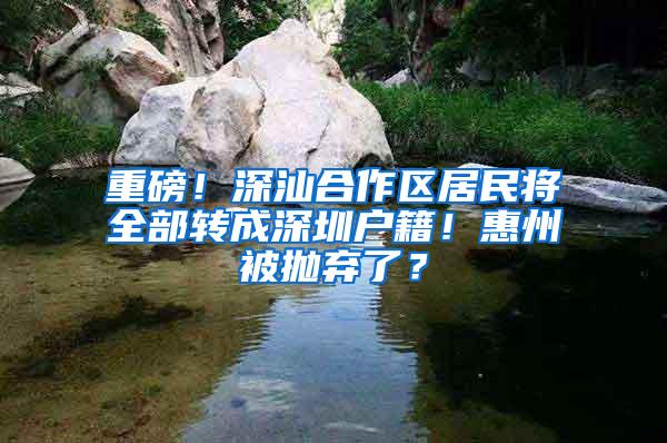 重磅！深汕合作区居民将全部转成深圳户籍！惠州被抛弃了？