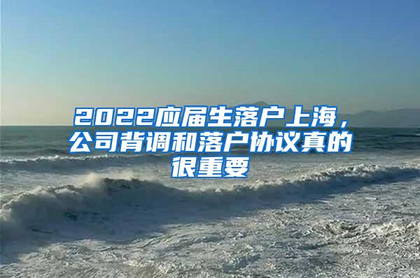 2022应届生落户上海，公司背调和落户协议真的很重要