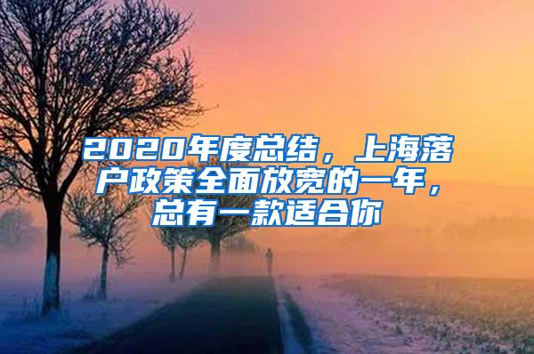 2020年度总结，上海落户政策全面放宽的一年，总有一款适合你