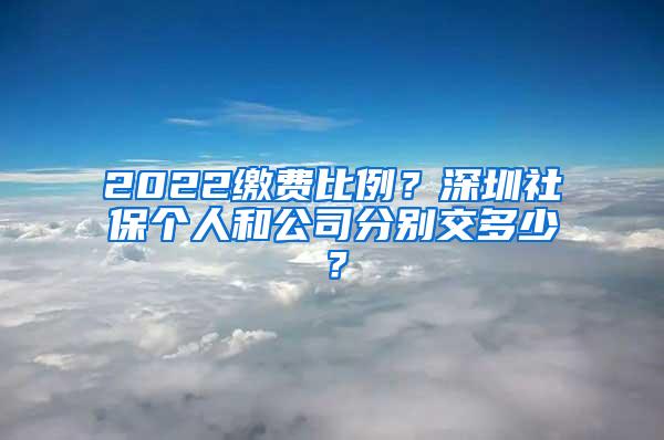 2022缴费比例？深圳社保个人和公司分别交多少？