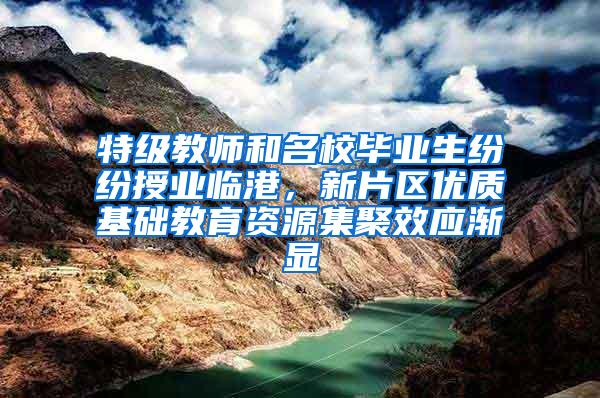 特级教师和名校毕业生纷纷授业临港，新片区优质基础教育资源集聚效应渐显