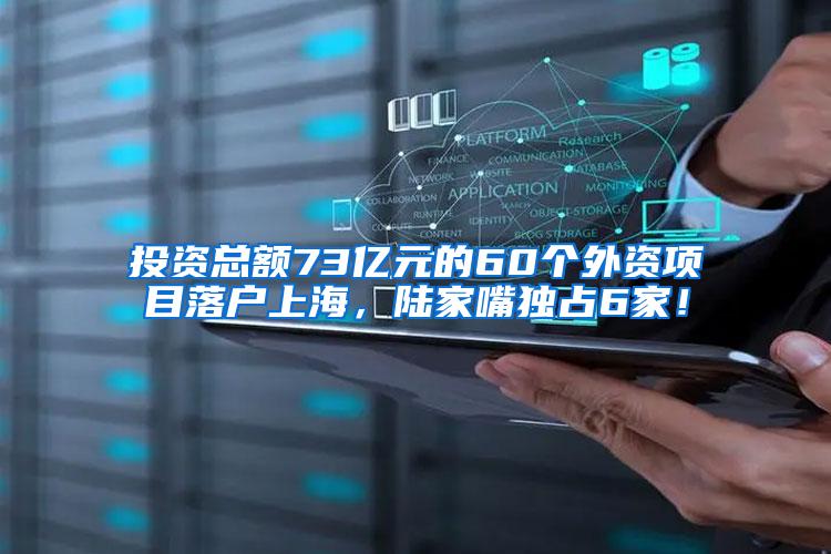 投资总额73亿元的60个外资项目落户上海，陆家嘴独占6家！