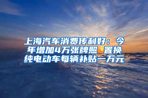 上海汽车消费传利好：今年增加4万张牌照 置换纯电动车每辆补贴一万元