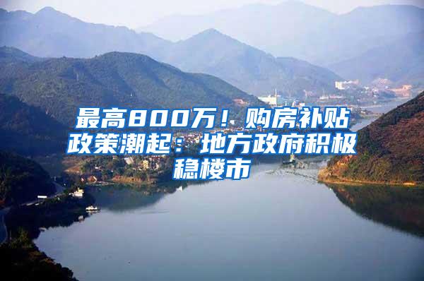 最高800万！购房补贴政策潮起：地方政府积极稳楼市