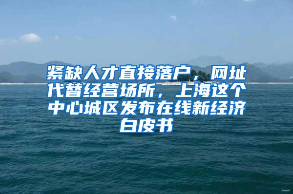 紧缺人才直接落户，网址代替经营场所，上海这个中心城区发布在线新经济白皮书