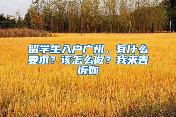 留学生入户广州，有什么要求？该怎么做？我来告诉你