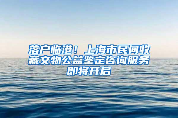 落户临港！上海市民间收藏文物公益鉴定咨询服务即将开启