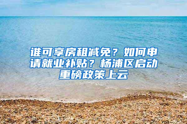 谁可享房租减免？如何申请就业补贴？杨浦区启动重磅政策上云