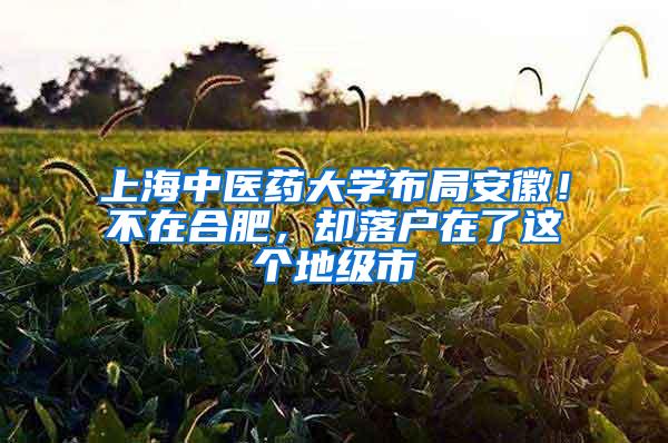 上海中医药大学布局安徽！不在合肥，却落户在了这个地级市