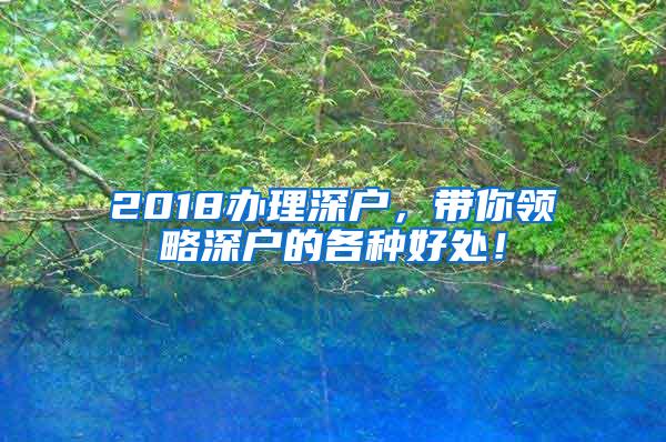 2018办理深户，带你领略深户的各种好处！