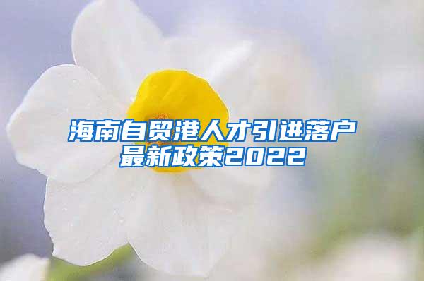 海南自贸港人才引进落户最新政策2022