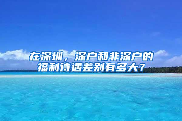 在深圳，深户和非深户的福利待遇差别有多大？