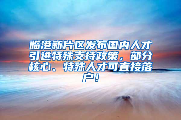 临港新片区发布国内人才引进特殊支持政策，部分核心、特殊人才可直接落户！