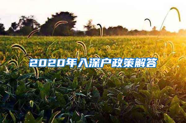 2020年入深户政策解答